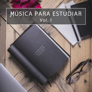 Música para Estudiar, Vol. 1 - Fondo de la lectura