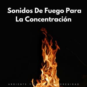 Ardiente Y Tranquila Serenidad: Sonidos De Fuego Para La Concentración - Sonidos cálidos y fríos de fuego