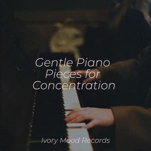 Gentle Piano Pieces for Concentration - Ivory Mood