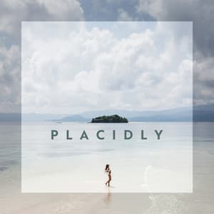 Placidly: Soothing Instrumental Ambient Music for Stress and Anxiety - Sound Therapy Masters
