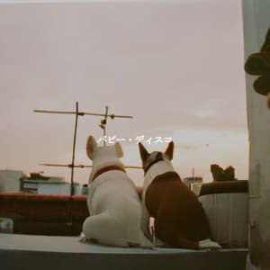 パピー・ディスコ - Calm Cafe Lounge