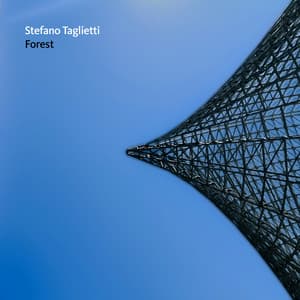 Forest - Stefano Taglietti
