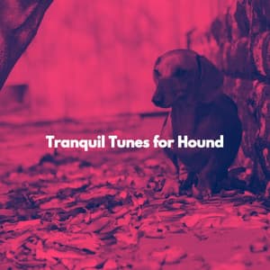 Tranquil Tunes for Hound - Cosy Music Deluxe