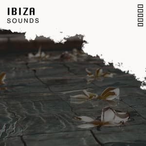 Ibiza Sounds - Chillout Lounge Bar Music Buddha