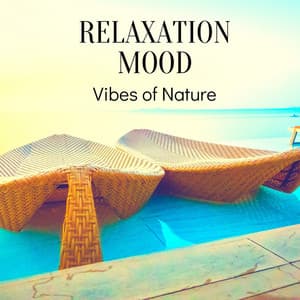 Relaxation Mood: Vibes of Nature - Lily Zen