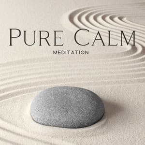 Pure Calm Meditation: Music for Total Comfort and Relaxation, Clear Your Mind and Change Your Mindset - Calming Music Ensemble