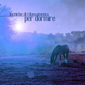 Tecniche di rilassamento per dormire - Academia del Sonno Profondo