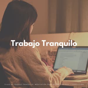 Flujo De Trabajo Tranquilo: Meditación Para Mayor Claridad Y Producción - Academia de Música para Reducir el Estrés