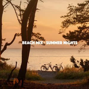 Beach Mix - Summer Nights - Bar Lounge
