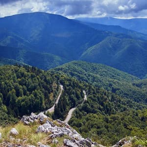 Mountain Serenity: Ethereal Melodies in Nature's Heights - Mountain Man Recordings