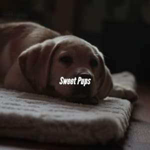 Sweet Pups - Cuban Music Playlist