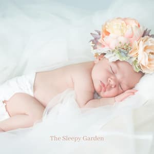 The Sleepy Garden - Classical Lullabies