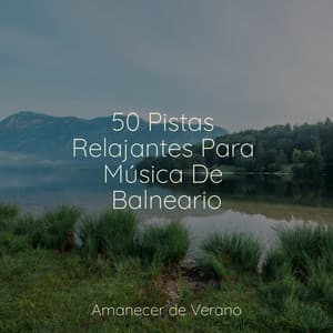 50 Pistas Relajantes Para Música De Balneario - Musica romantica instrumental