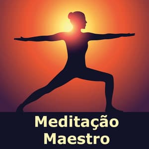 Meditação Maestro - Meditação Maestro