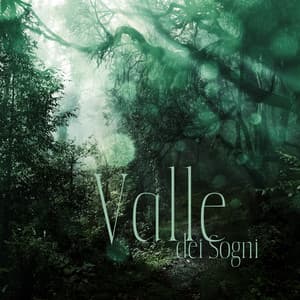 Valle dei Sogni: Musica calma per il sonno profondo - Musica Relax Academia