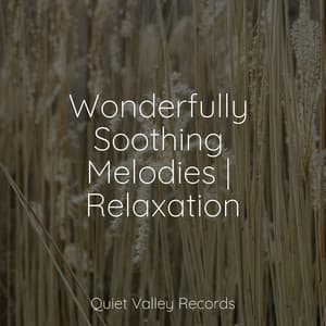 Wonderfully Soothing Melodies | Relaxation - Tailormade Ocean Waves