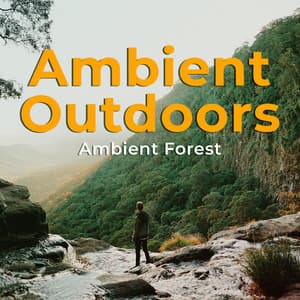Ambient Outdoors - Ambient Forest