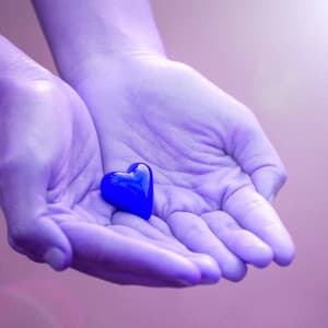 Music for Higher Morning - Bossa Guitar Trio - Morning Jazz