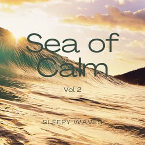 2022 Sea of Calm Vol. 2 - Sea of Calmness