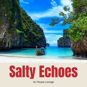 Salty Echoes: Lounge Deep House Mix - DJ House Lounge