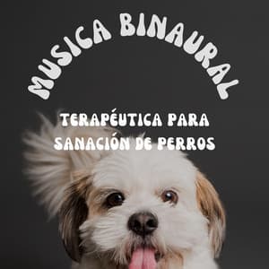 Música Binaural Terapeutica Para Sanación De Perros - Paisajes Binaurales