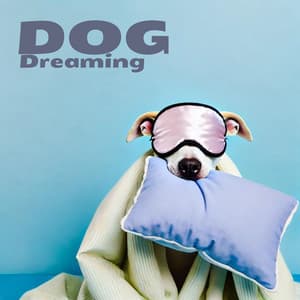 Dog Dreaming: Calm Music for Dog Sleep, Spa Grooming, Separation Stress Therapy - Canine Soothness
