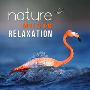 Nature Music Relaxation – Echoes of Nature, Music for Meditation & Relaxation, Help Yourself, Calm Nature - The Calming Sounds Of Nature