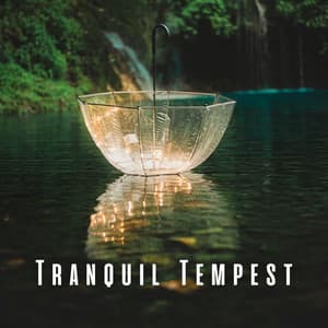 Tranquil Tempest: Loon's Echoes and Windy Rain for Relaxation - Cold Avenue