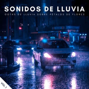 Sonidos De Lluvia: Gotas De Lluvia Sobre Pétalos De Flores Vol. 1 - Sonidos Naturaleza