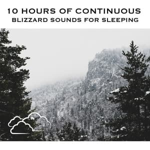 10 Hours of Continuous Blizzard Sounds for Sleeping - White Noise Radiance