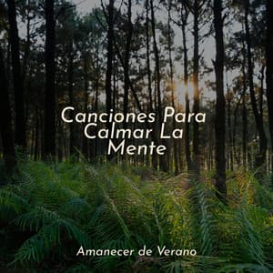 Canciones Para Calmar La Mente - Sonido de lluvia