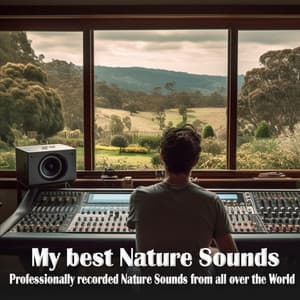 My best Nature Sounds: Professionally recorded Nature Sounds from all over the World - Outdoor Field Recorders
