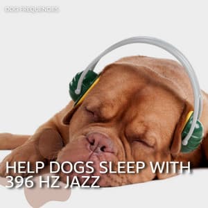 Help Dogs Sleep with 396 Hz Jazz - Dog Frequencies