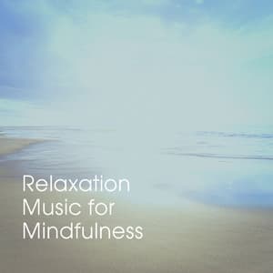 Relaxation Music for Mindfulness - Musique du monde et relaxation