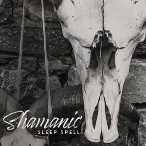 Shamanic Sleep Spell - Collection of New Age Tribal Music Dedicated to People Who Have Problems with Sleep Disorders of Any Type, Insomnia Relief, Deep Sleep, Inner Silence, Pure Relaxation - Trouble Sleeping Music Universe