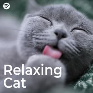 Relaxing Cat - Calm Music for Cats