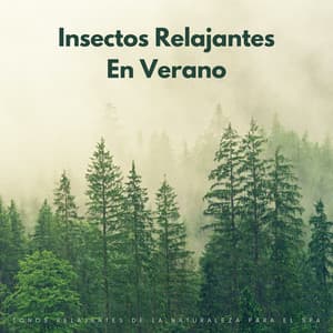 Insectos Relajantes En Verano: Tonos Relajantes De La Naturaleza Para El Spa - Canal de la Naturaleza sin Interrupción