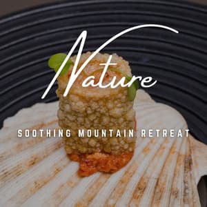 Mountain Spa Harmony: High Altitude Bliss - Spa Radio Collection