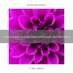 A Lovely Noise For Carpe Diem Perfet Karma, And Calm Down - Soothing Noise & Sleepful Sounds