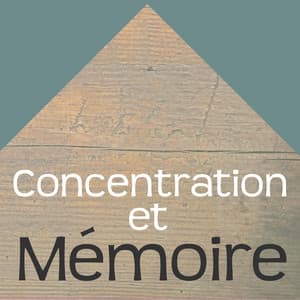 Concentration et Mémoire - Les Meilleures Chansons pour Training Autogène, Entrainement Cérébral, Améliorer sa Mémoire et Jeux de Mémoire - Concentration, Sound Therapy, Memory, Study Aid