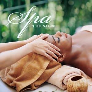 Spa in The Nature: Sounds of Rain, Water & Wind for Spa and Wellness - Relaxing Spa Music Zone