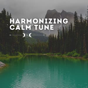 Harmonizing Calm Tune - Background Music Specialists