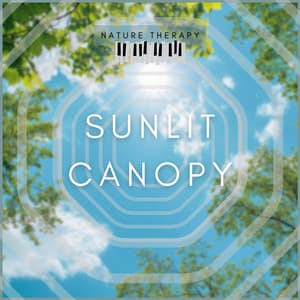 Sunlit Canopy - Nature Therapy