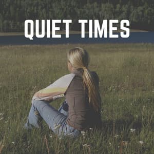 Quiet Times - Tranquility Spree
