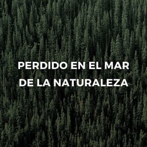 Perdido En El Mar De La Naturaleza - Resplandor de la naturaleza