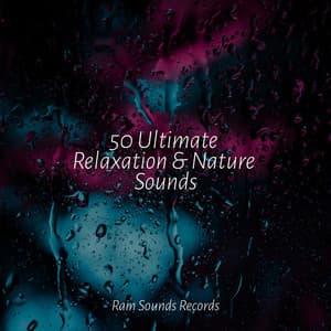 50 Ultimate Relaxation & Nature Sounds - Rain Sound Studio