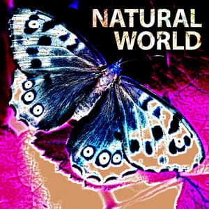 Natural World - Adam Saunders