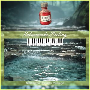 Kalmerende Streling - Melodieën voor Spa Massage - Elixer van Rust