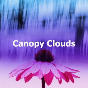 Canopy Clouds - Atmospheric Force