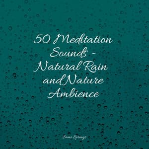 50 Meditation Sounds - Natural Rain and Nature Ambience - Lluvia